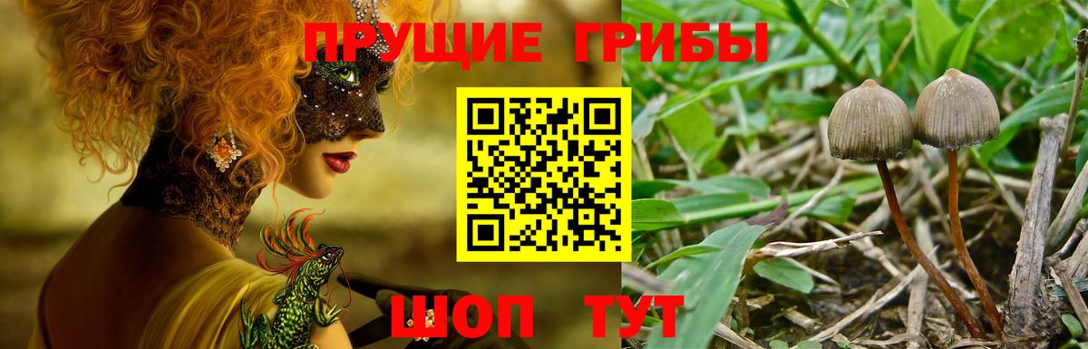 Галлюциногенные грибы мицелий  Вход с VPN  Феодосия 